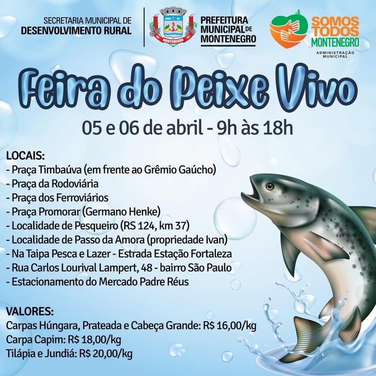 Feira Peixe Vivo.jpg