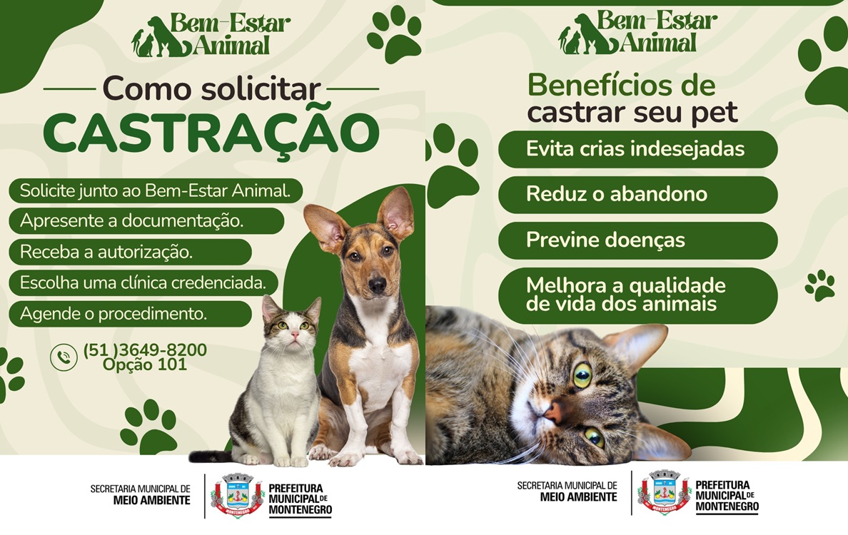 Mais de 1.300 animais já foram castrados pelo Município este ano