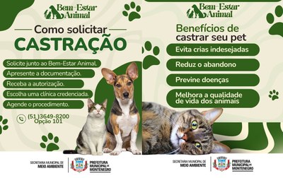 Mais de 1.300 animais já foram castrados pelo Município este ano