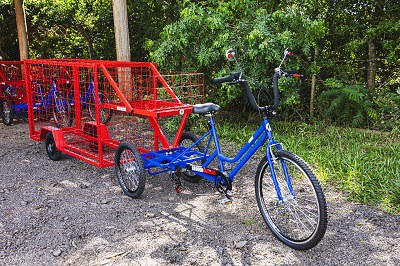 Prefeitura entregará triciclos a recicladores