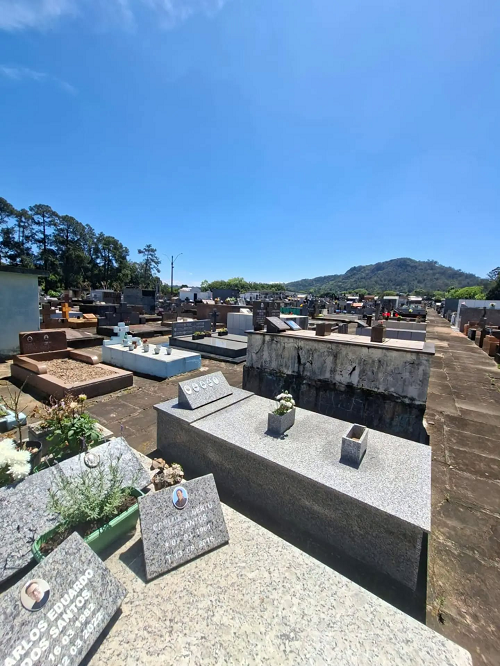 Produtores devem se cadastrar para venda de flores no Cemitério
