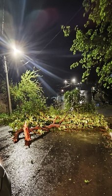 Temporal causa destruição e mobiliza equipes em Montenegro