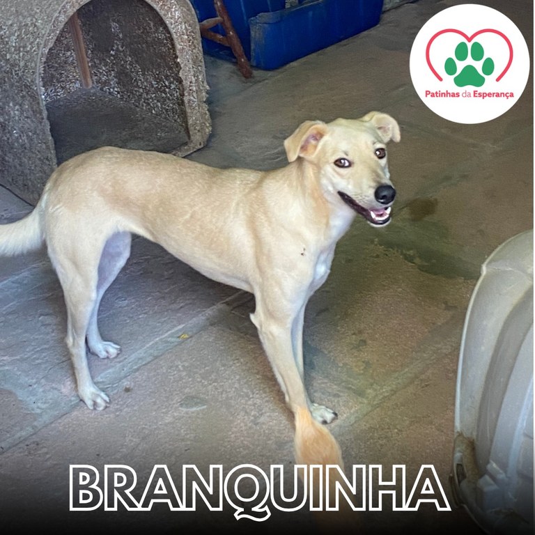 Branquinha