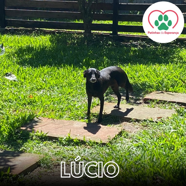 Lúcio