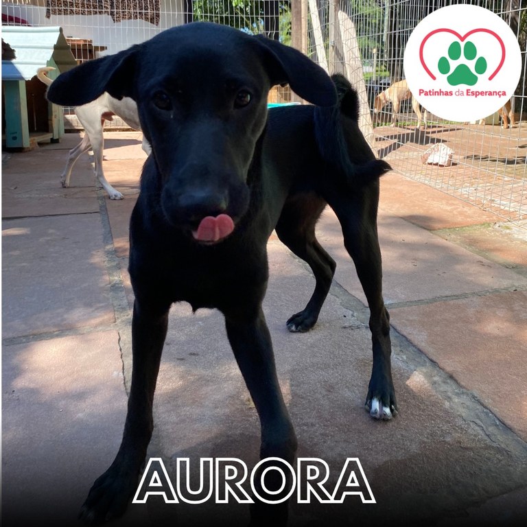 Aurora