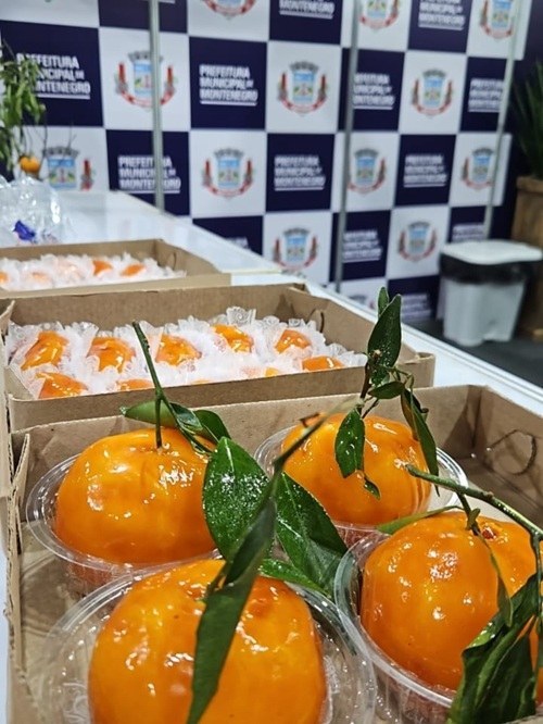 "Berga" do Amor vira sucesso na Expointer